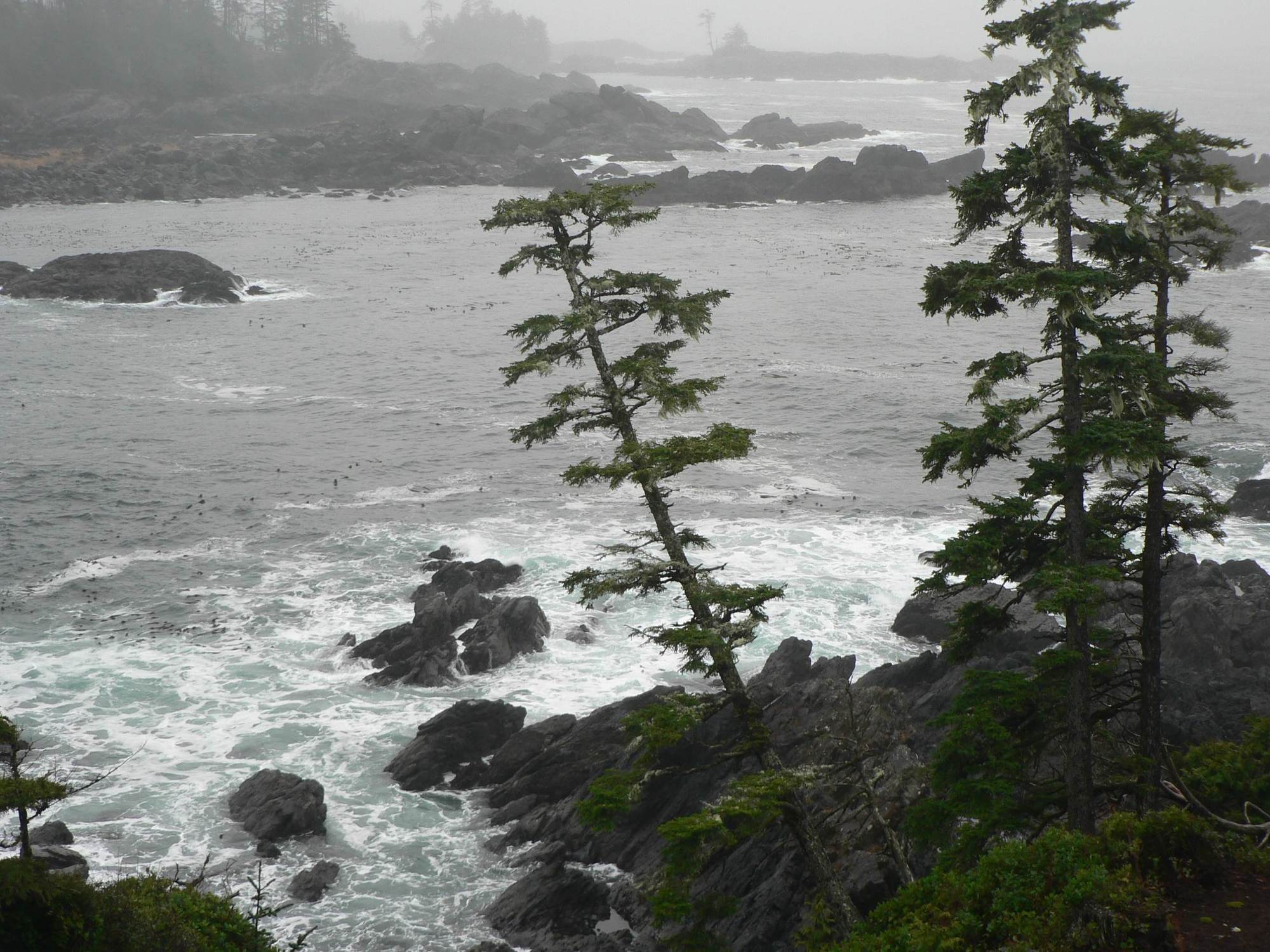 Black Rock Oceanfront Resort Ucluelet Exteriör bild